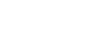 BeneChoice Companies LLC